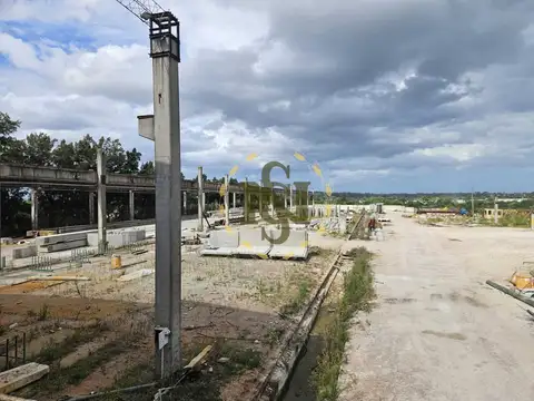 CARRASCO, CAMINO 100