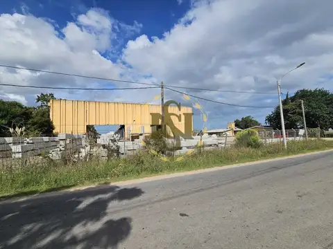 CARRASCO, CAMINO 100