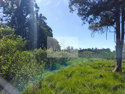 Terreno en venta en Pilar La Lonja calle Saravi
