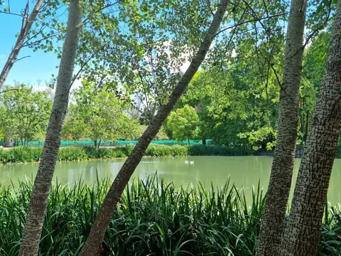 ALQUILER ANUAL VILLA DEL LAGO, PILAR