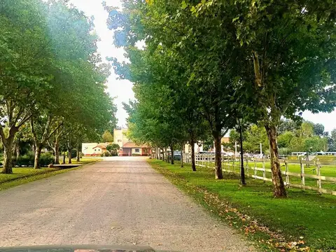 Ruta 25 100