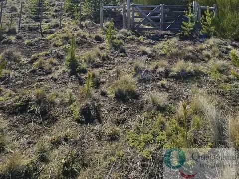 Terreno - Quilquihue
