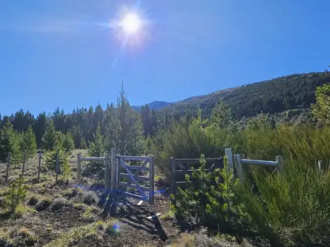 Terreno en Venta de 2500,0 m2