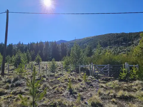 Terreno en Venta 50  mts Fondo