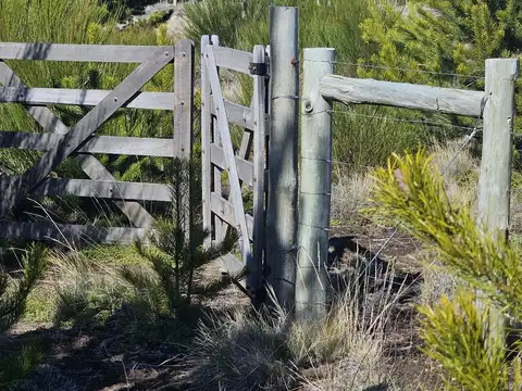 Terreno en Venta 50  mts Fondo