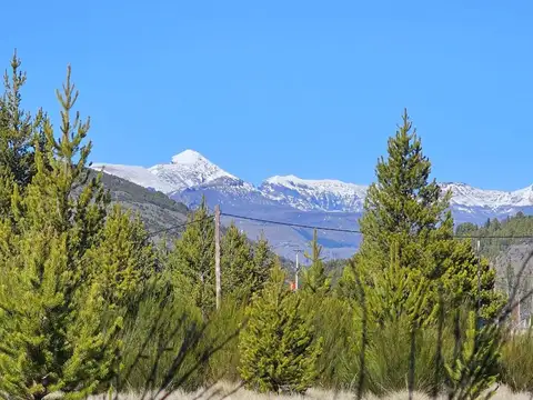 Terreno en Venta 50  mts Frente