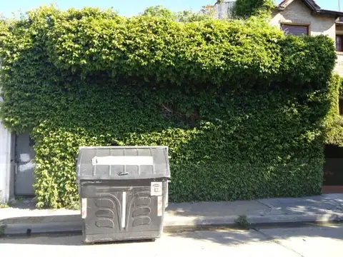 Ricardo Gutierrez 4400, Villa Devoto, LOTE 8.66 x 27.