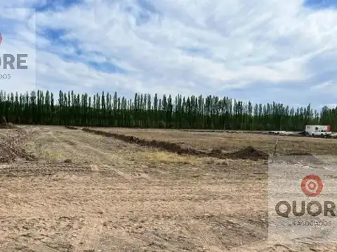 Terreno en Vista Alegre Sur