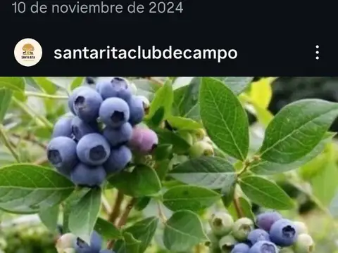 Campo de 10 hectáreas en Cardales Exaltación de la Cruz  Buenos Aires 3