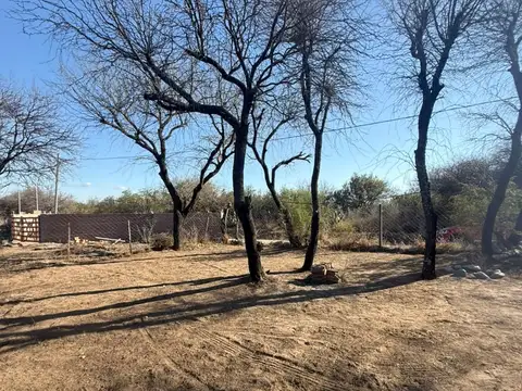 Guanaco Boleado