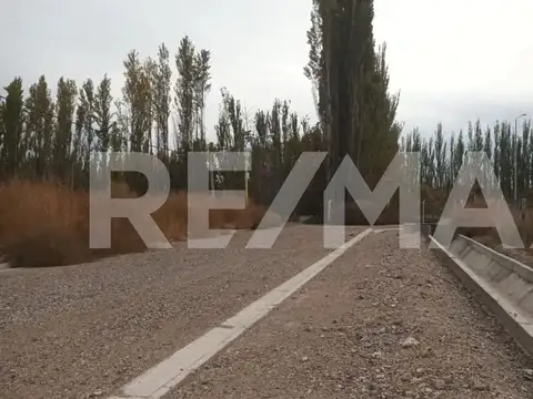 VENTA TERRENOS | LOTEO VANNICOLA | CENTENARIO