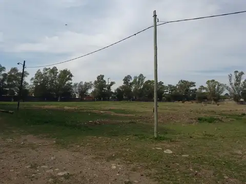 Terreno en Alquiler de 90000,0 m2