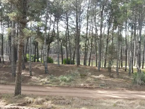 Terreno en Venta en Villarobles, USD 155.000