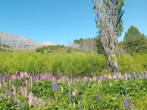 Terreno en Venta de 3000,0 m2