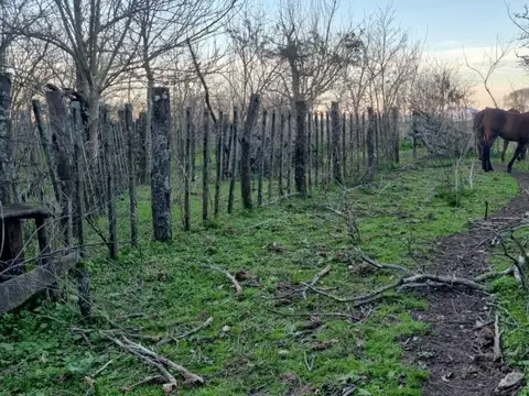 VENTA DE CAMPO 1.2 Has. (12000 m2)