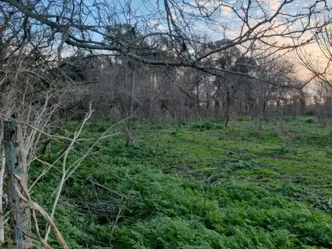 Terreno Campo  en Venta ubicado en Mercedes, Resto de la Provincia, Buenos Aires