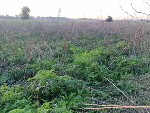 VENTA DE CAMPO 1.2 Has. (12000 m2)