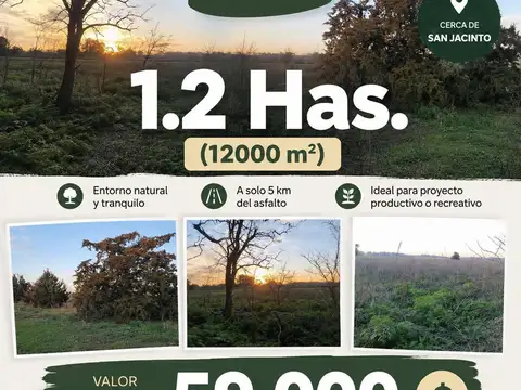 Terreno Campo  en Venta ubicado en Mercedes, Resto de la Provincia, Buenos Aires