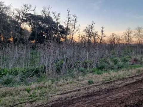 Terreno Campo  en Venta ubicado en Mercedes, Resto de la Provincia, Buenos Aires