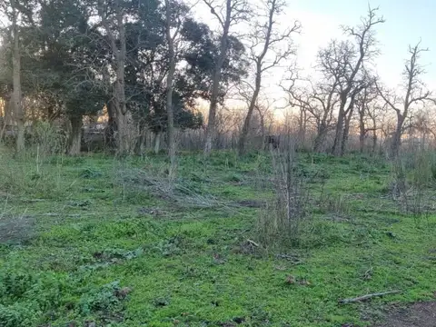 Terreno Campo  en Venta ubicado en Mercedes, Resto de la Provincia, Buenos Aires