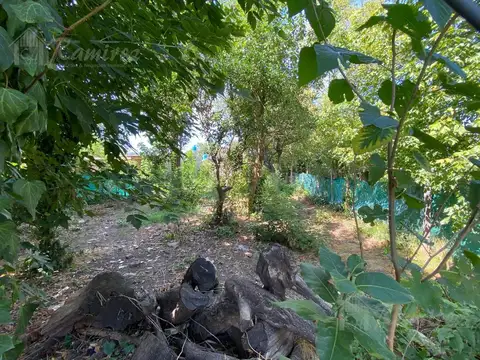 Terreno en Venta 11  mts Frente