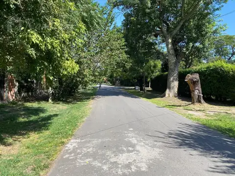 Terreno en Venta 39  mts Fondo