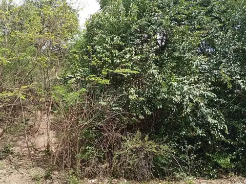 VENTA LOTE 2120 M2 RIO CEBALLOS CON VISTAS