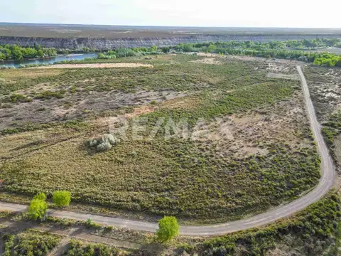 VENTA 19,8 HECTAREAS VILLA MANZANO