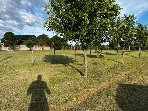 Terreno en Venta de 1600,0 m2