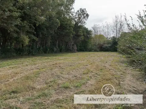 Av Cañada De La Cruz 200