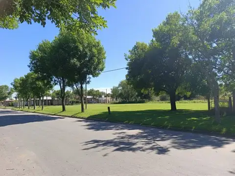 Terreno de 20 x 25 en Lisandro de la Torre y Colón