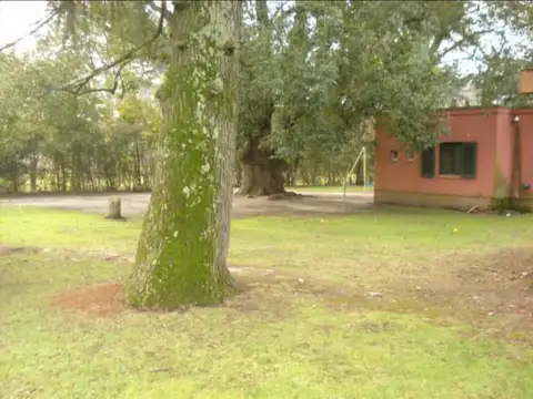 Fraccion  5000 m2 - Apto desarrollo multifamiliar (Pilar, La Lonja )