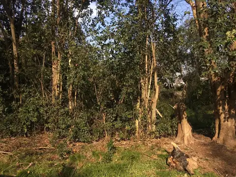 Terreno en Venta en Marcos Paz, USD 20.000