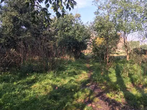 Dr B De Irigoyen 800