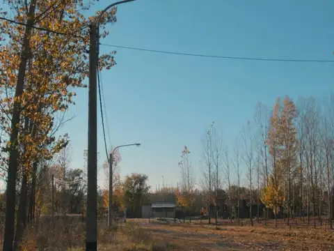 VENTA DE LOTES EN BARRIO BOSQUES DE CAPIZ