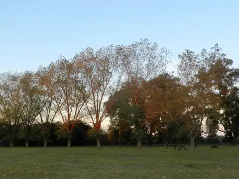 Av. Gral. San Martin 1600 // LOTE 10