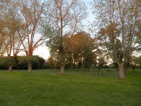 Terreno en Venta de 303,0 m2