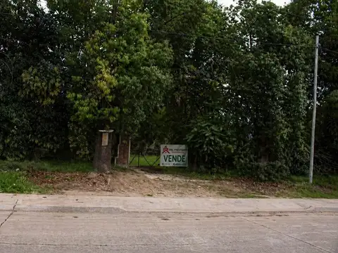 Lotes Longchamps Av Republica Argentina 