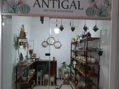 Local en galería  Rivadavia Center, Haedo!