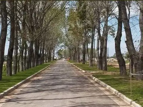 Terreno en Venta de 836,0 m2