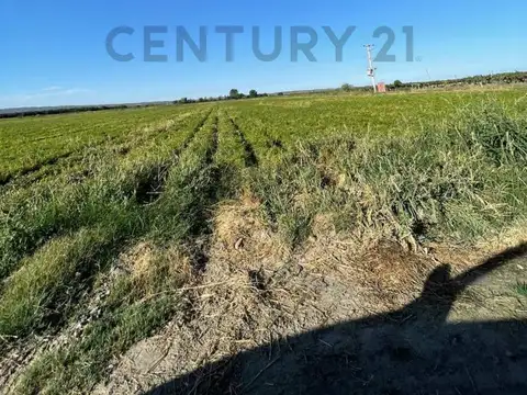 Quinta en Venta en El Zampal, USD 850.000