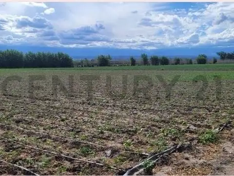 Century 21 López vende Finca en Tupungato Valle de Uco, Mendoza