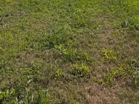 Terreno en Venta de 671,0 m2