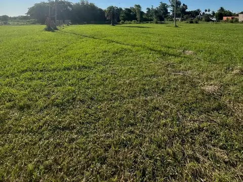 LOTE EN VENTA, LOTEO LA DELFINA, COLONIA CAROLINA