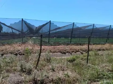3,5 Hectareas en Venta en Villa Retiro C. del Riego.