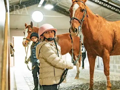 HARAS DEL SUR IV-V LOTE 316