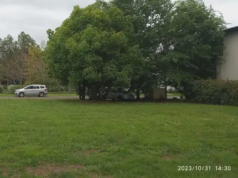 Terreno en Venta 34  mts Fondo