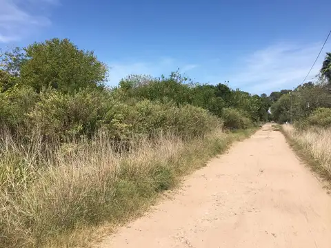 Terreno en Venta en Abasto, USD 175.000