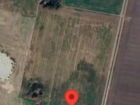 Campo en Amenabar