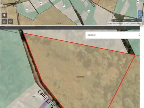 los liquidambares 100